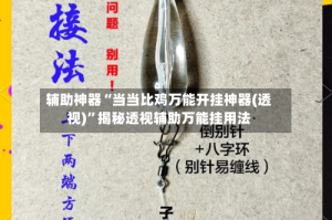 辅助神器“当当比鸡万能开挂神器(透视)”揭秘透视辅助万能挂用法
