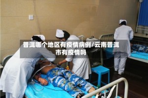 普洱哪个地区有疫情病例/云南普洱市有疫情吗