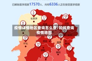 疫情详情地区查询怎么查/如何查询疫情地图