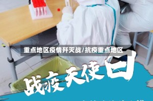 重点地区疫情歼灭战/抗疫重点地区