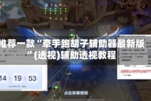 推荐一款“牵手跑胡子辅助器最新版”(透视)辅助透视教程