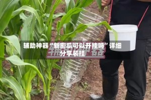 辅助神器“新密瓜可以开挂吗”详细分享装挂