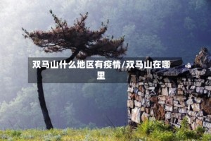 双马山什么地区有疫情/双马山在哪里