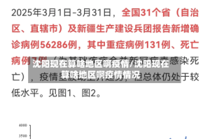 沈阳现在算啥地区啊疫情/沈阳现在算啥地区啊疫情情况