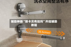 辅助神器“新卡贝有挂吗”开挂辅助教程