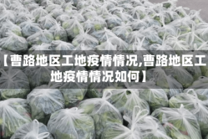 【曹路地区工地疫情情况,曹路地区工地疫情情况如何】