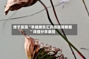终于发现“羊城牌乐汇开挂视频教程”详细分享装挂