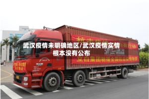 武汉疫情未明确地区/武汉疫情实情根本没有公布