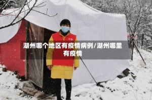 湖州哪个地区有疫情病例/湖州哪里有疫情