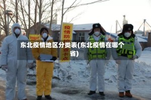 东北疫情地区分类表(东北疫情在哪个省)