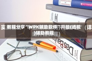 教程分享“WPK辅助软件”开挂(透视)辅助教程