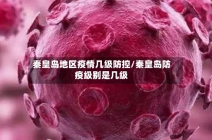 秦皇岛地区疫情几级防控/秦皇岛防疫级别是几级
