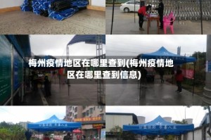 梅州疫情地区在哪里查到(梅州疫情地区在哪里查到信息)