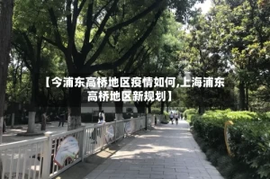 【今浦东高桥地区疫情如何,上海浦东高桥地区新规划】