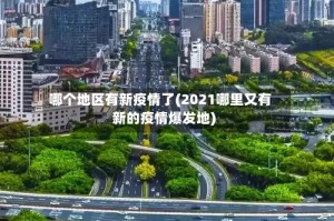 哪个地区有新疫情了(2021哪里又有新的疫情爆发地)