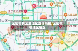 全国疫情全域地区查询系统/全国疫情地区情况