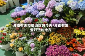 斗南有无疫情地区吗今天/斗南有哪些好玩的地方