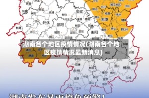 湖南各个地区疫情情况(湖南各个地区疫情情况最新消息)