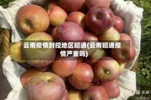 云南疫情封控地区昭通(云南昭通疫情严重吗)