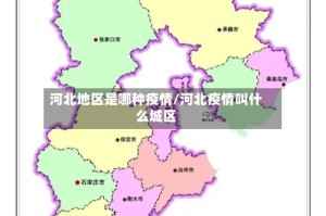 河北地区是哪种疫情/河北疫情叫什么城区
