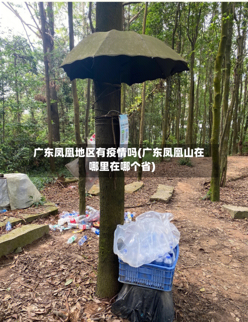 广东凤凰地区有疫情吗(广东凤凰山在哪里在哪个省)-第1张图片