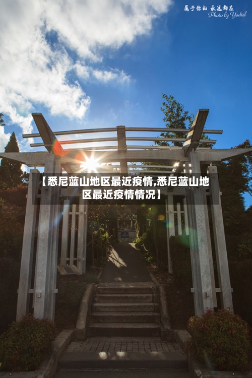 【悉尼蓝山地区最近疫情,悉尼蓝山地区最近疫情情况】-第2张图片