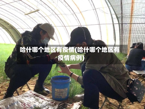 哈什哪个地区有疫情(哈什哪个地区有疫情病例)-第2张图片