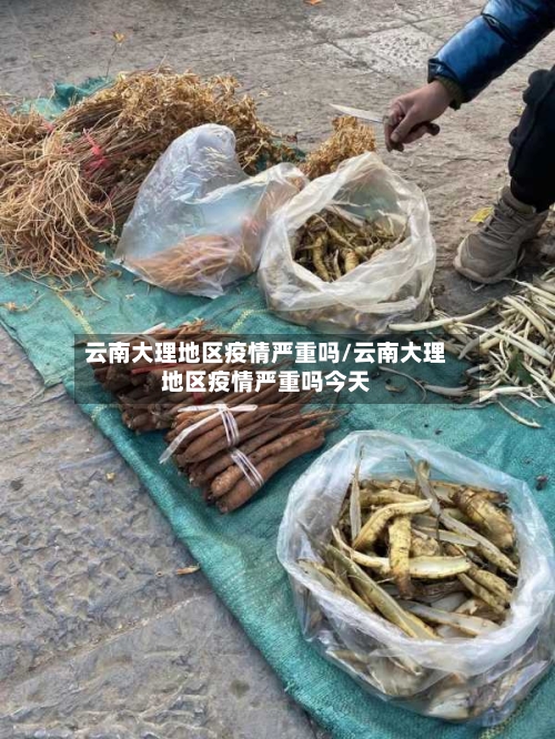 云南大理地区疫情严重吗/云南大理地区疫情严重吗今天-第1张图片