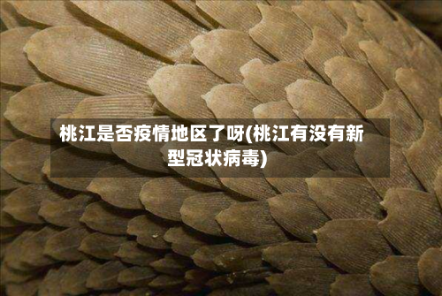 桃江是否疫情地区了呀(桃江有没有新型冠状病毒)-第1张图片