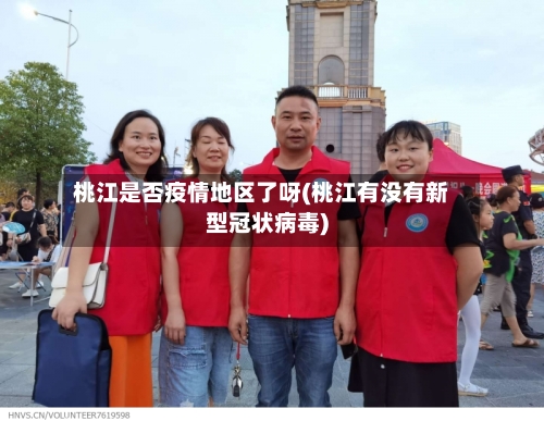 桃江是否疫情地区了呀(桃江有没有新型冠状病毒)-第2张图片