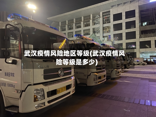 武汉疫情风险地区等级(武汉疫情风险等级是多少)-第3张图片