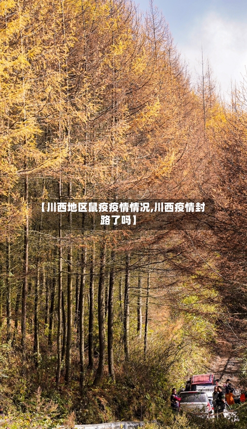 【川西地区鼠疫疫情情况,川西疫情封路了吗】-第2张图片