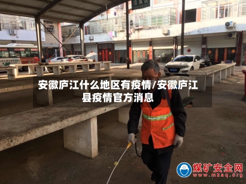 安徽庐江什么地区有疫情/安徽庐江县疫情官方消息-第3张图片