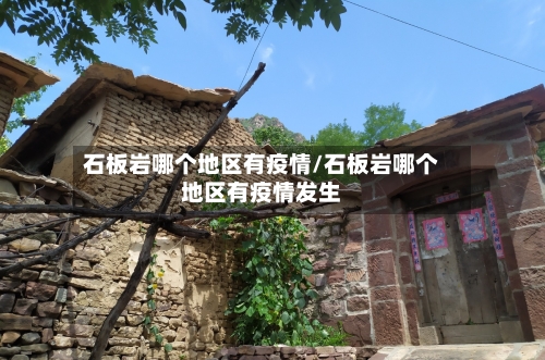 石板岩哪个地区有疫情/石板岩哪个地区有疫情发生-第3张图片
