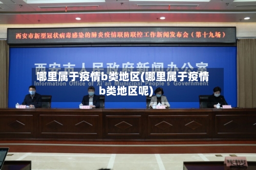 哪里属于疫情b类地区(哪里属于疫情b类地区呢)-第2张图片