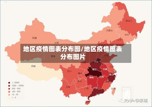 地区疫情图表分布图/地区疫情图表分布图片-第2张图片