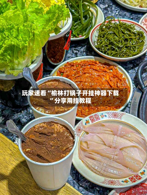 玩家速看“榆林打锅子开挂神器下载”分享用挂教程-第3张图片