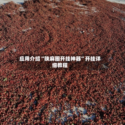 应用介绍“陕麻圈开挂神器”开挂详细教程-第1张图片