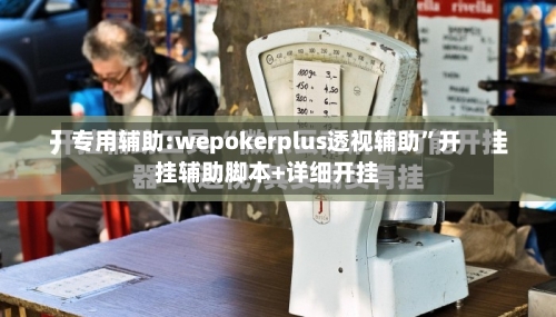 专用辅助:wepokerplus透视辅助	”开挂辅助脚本+详细开挂-第2张图片