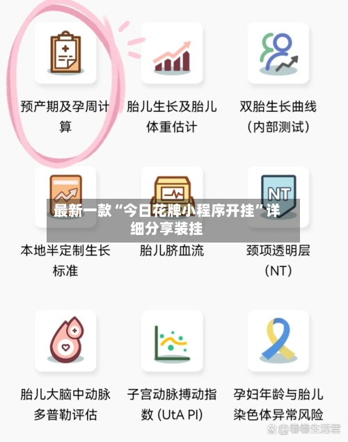 最新一款“今日花牌小程序开挂	”详细分享装挂-第2张图片