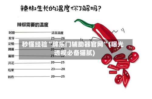 秒懂经验“牌乐门辅助器官网”(曝光透视必备猫腻)-第3张图片