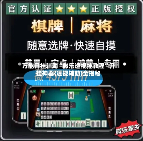 万能开挂辅助“微乐透视挂教程”开挂神器{透视辅助}全揭秘-第2张图片