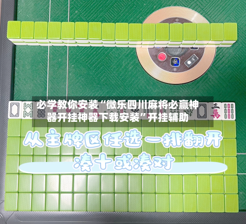 必学教你安装“微乐四川麻将必赢神器开挂神器下载安装”开挂辅助-第2张图片