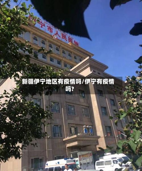 新疆伊宁地区有疫情吗/伊宁有疫情吗?-第2张图片