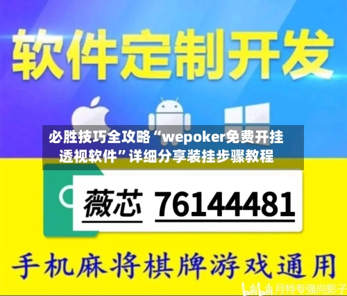 必胜技巧全攻略“wepoker免费开挂透视软件”详细分享装挂步骤教程-第3张图片