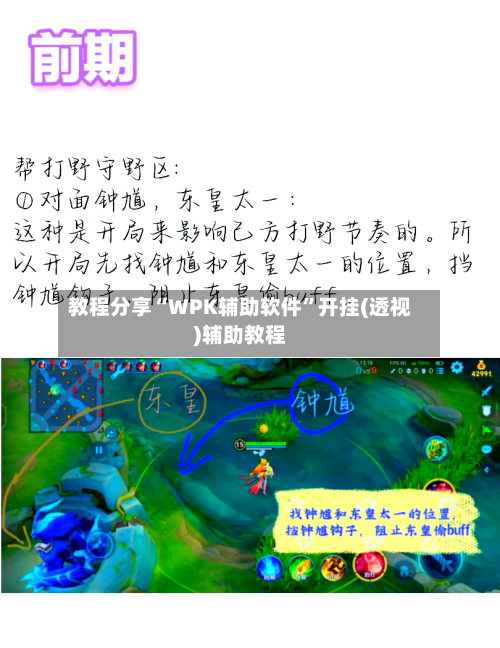 教程分享“WPK辅助软件”开挂(透视)辅助教程-第3张图片