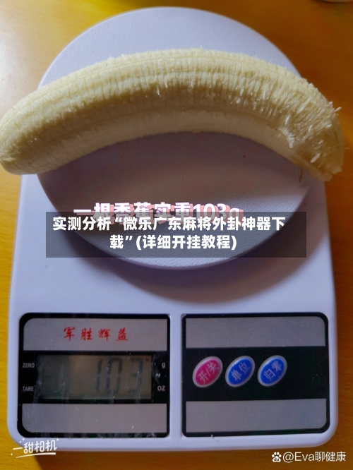 实测分析“微乐广东麻将外卦神器下载”(详细开挂教程)-第2张图片