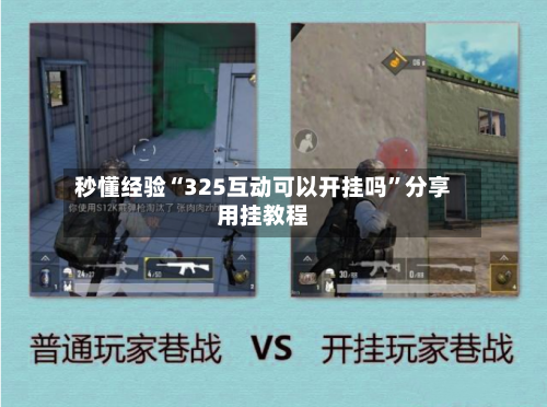 秒懂经验“325互动可以开挂吗”分享用挂教程-第2张图片