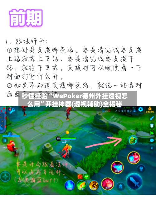 秒懂经验“WePoker德州外挂透视怎么用	”开挂神器{透视辅助}全揭秘-第2张图片
