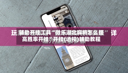 辅助开挂工具“微乐湖北麻将怎么提高胜率开挂”开挂(透视)辅助教程-第3张图片